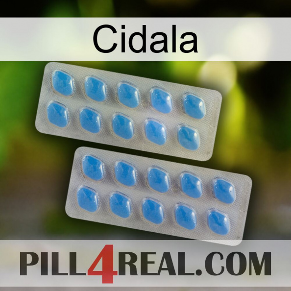 Cidala 23